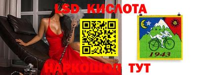 СК Вязники