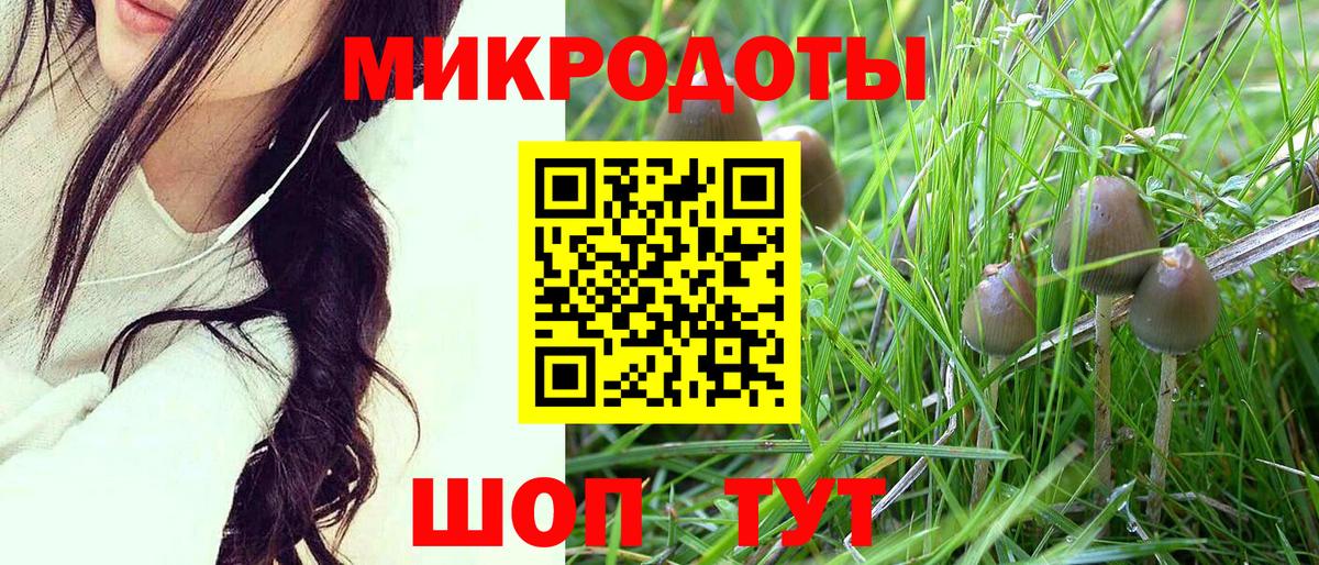 Галлюциногенные грибы Cubensis Ртищево