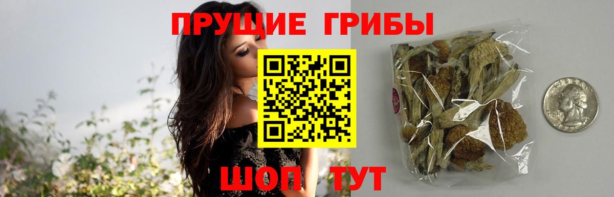 Галлюциногенные грибы прущие грибы  Галлюциногенные грибы прущие грибы  Вход с VPN  Ртищево 